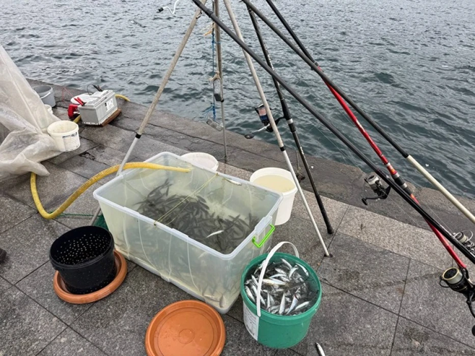 İstanbul'da olta balıkçıları lodosu fırsata çevirdi