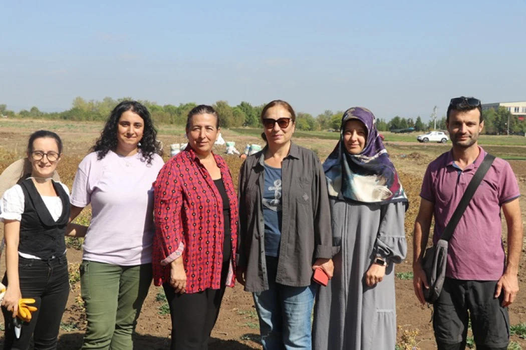 Üniversite öğrencileri, tohumundan atığına faydalanılan aspiri kampüste üretti