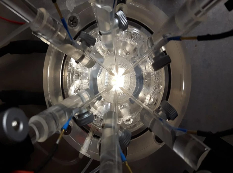 Alzheimer ile mücadelede yeni strateji: Doğal bileşik hafızayı onarıyor