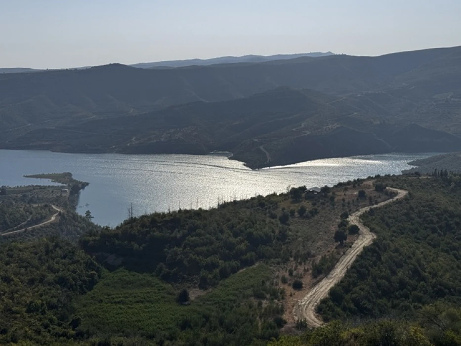 Manavgat’ta yangınla yok olan ormanlar yeniden yeşeriyor