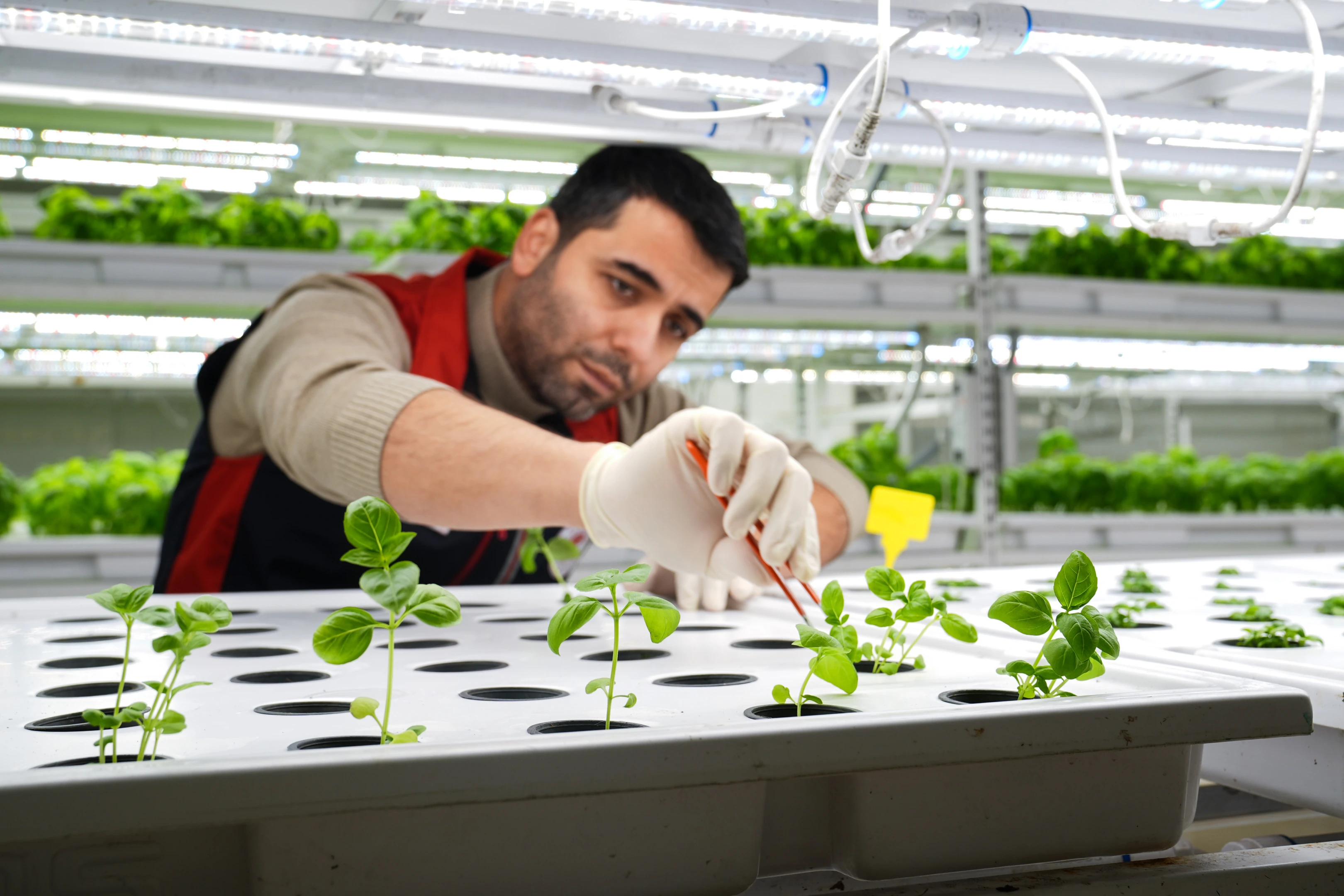 Gıda enflasyonuna karşı ilk adım KGF