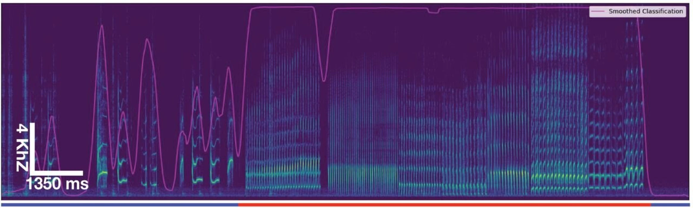 Yapay zeka TweetyBERT, kuşların dilini çözdü