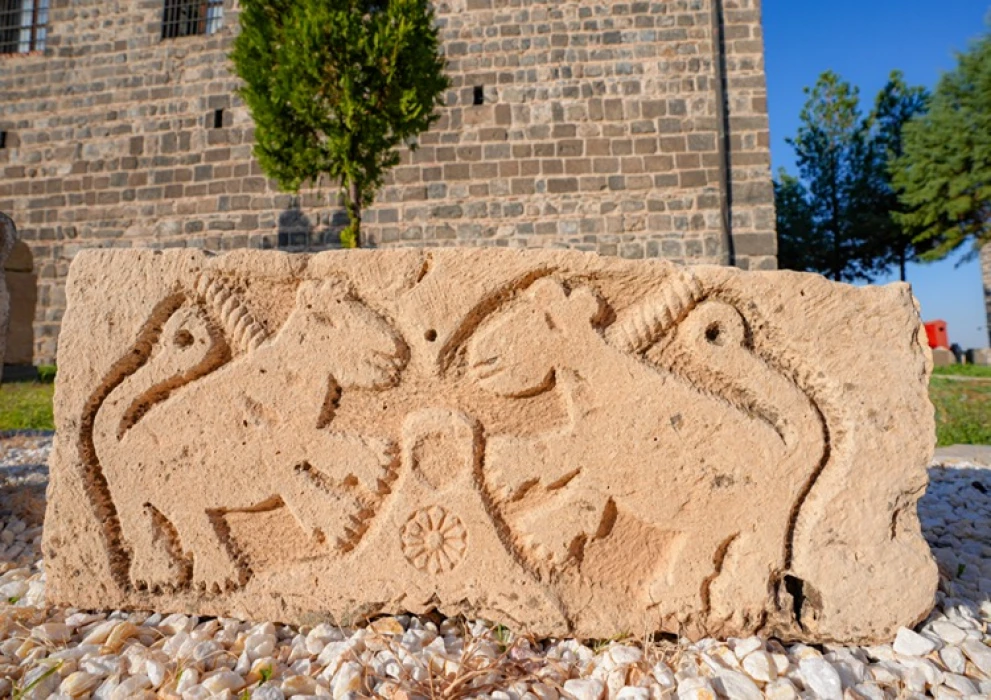 İsviçreli Arkeolog Zangger: Türkiye arkeoloji için gerçek bir cennet