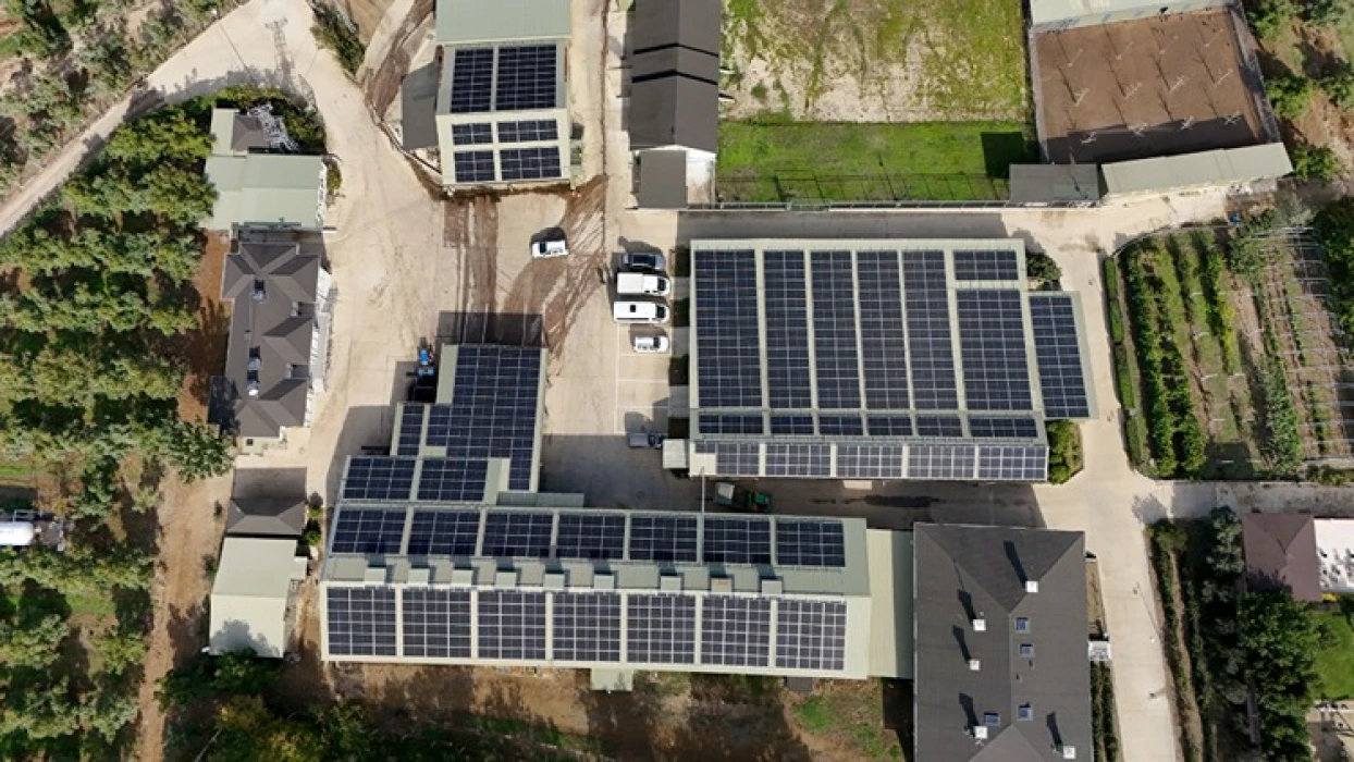 Ceviz üretimine başlayan işletme elektriğini güneşten karşılıyor