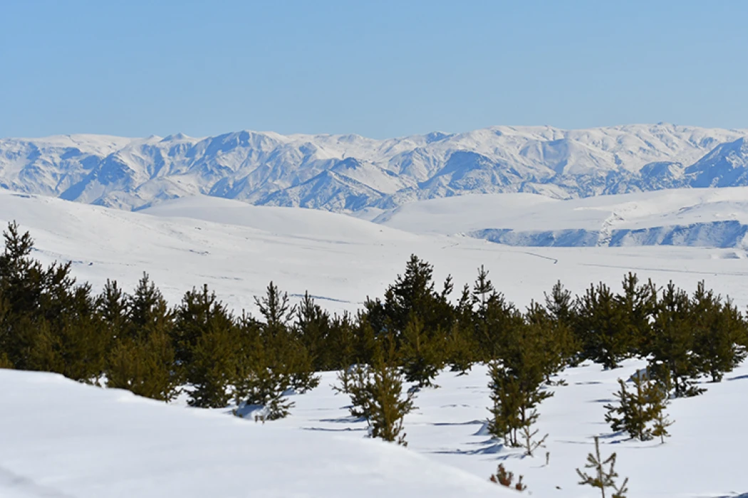 Kars'ta 1 metreyi aşan kar doğada güzel görüntüler oluşturdu