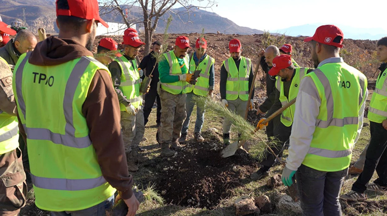 Petrol üretim üssü Gabar’da yeşil hamle başladı: 100 bin fidan toprakla buluşacak