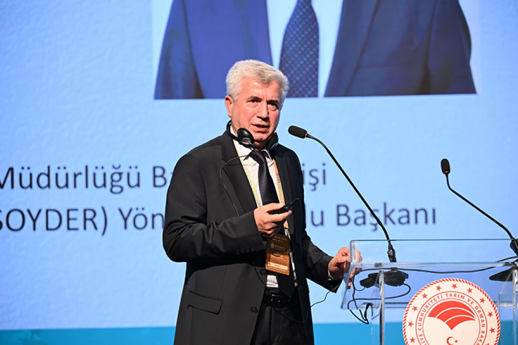 Türkiye'de odun dışı ürünlerdeki üretim 32 kat arttı
