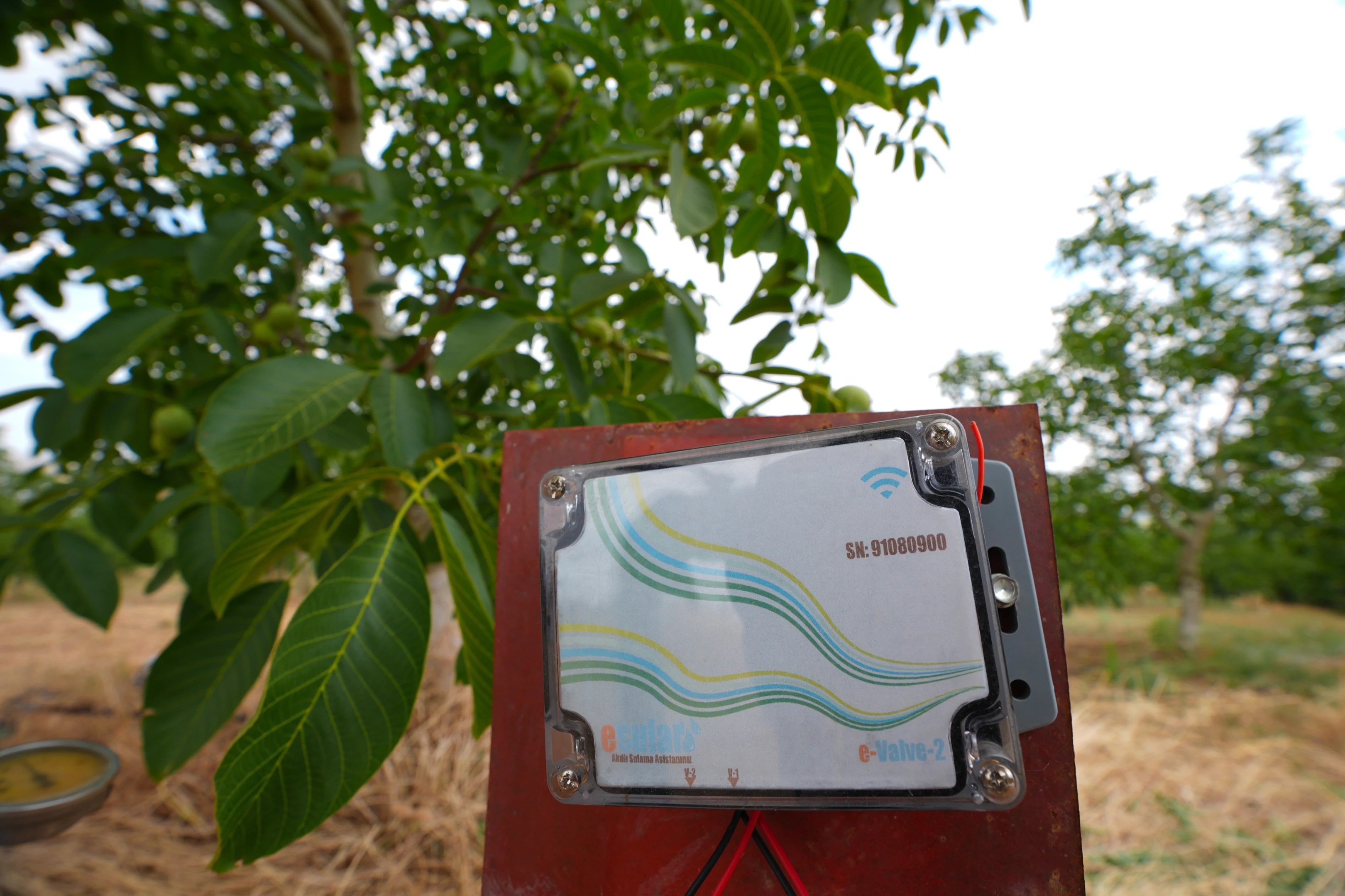 Yapay zeka çağında su alarmı