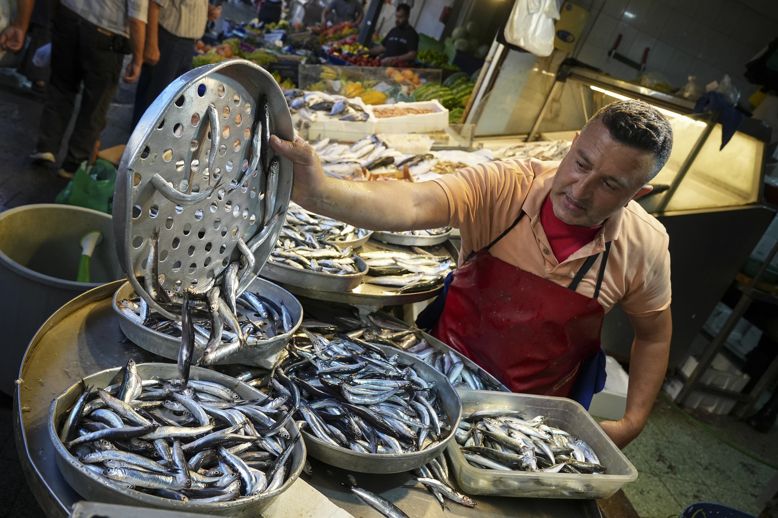 Balıkçı tezgahlarında hamsi bereketi