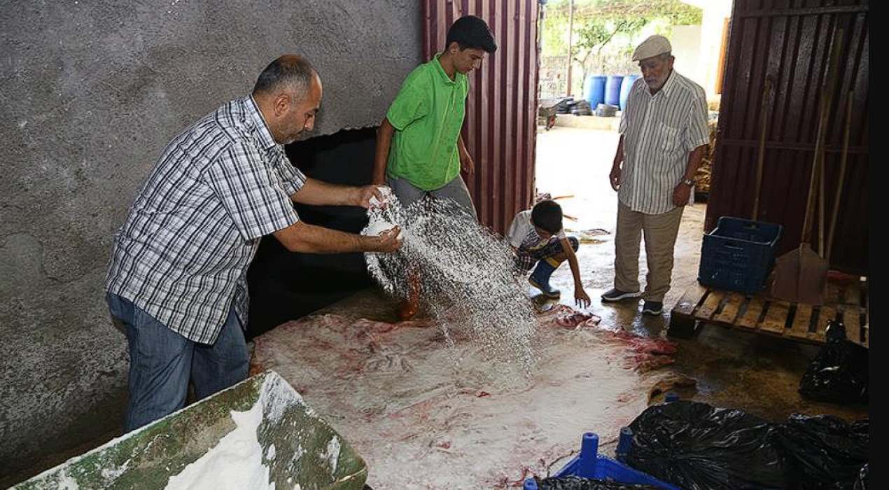 TESK'ten kurban derisi çağrısı: İsraf etmeyin