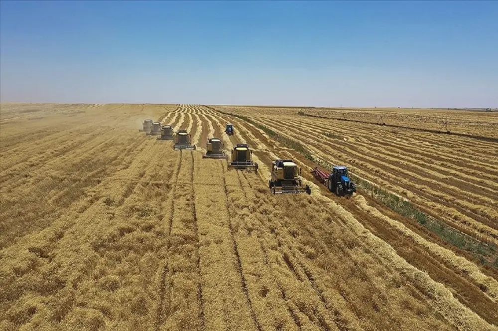 ‘Hasar fazlası desteği’ne ilişkin prim oranları belirlendi