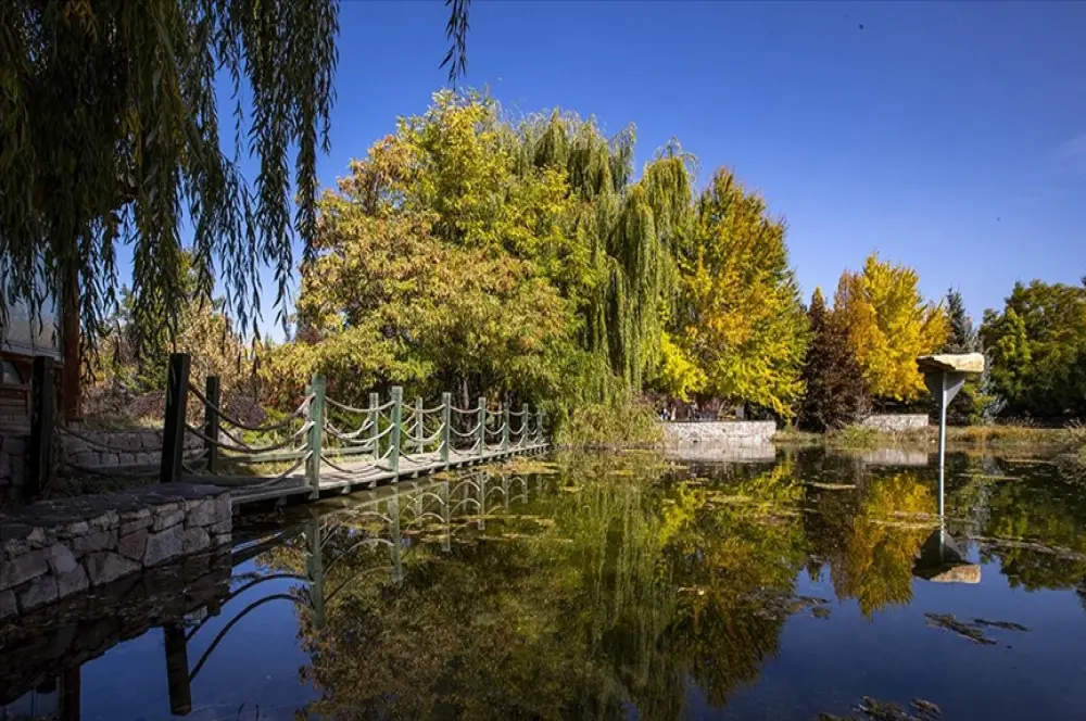 Türk üniversiteleri yeşil kampüsleriyle en çevreci üniversiteler arasında
