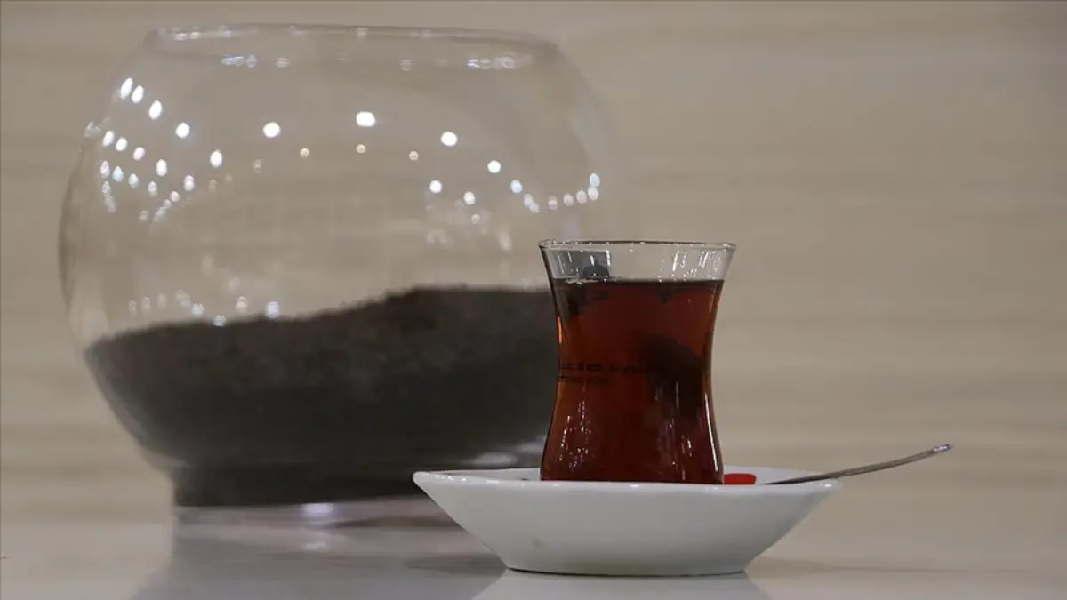 Rize’den 1,8 milyon dolarlık çay ihracatı! En çok hangi ülkelere satıldı?