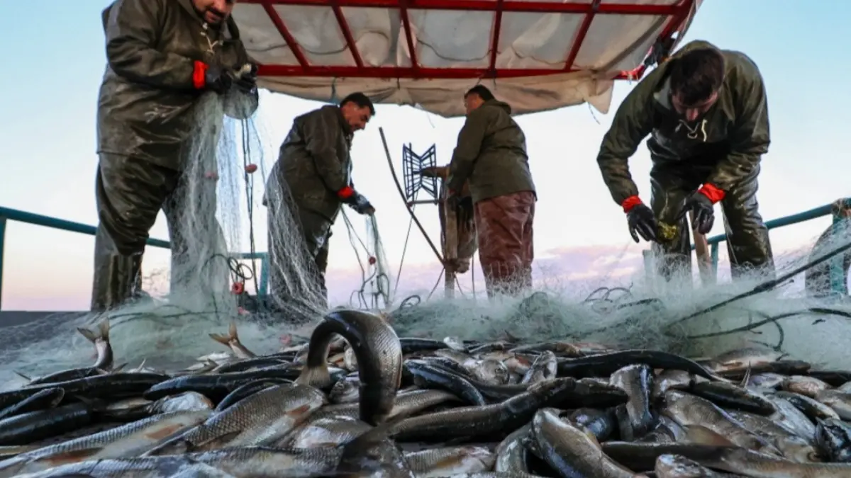 Batı Karadeniz'de kıyı balıkçıları umutlu! Yaklaşık 1 ay kaldı