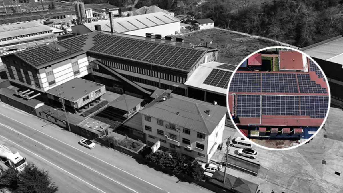 Çay fabrikasının enerji maliyetinin dörtte biri güneşten karşılanıyor