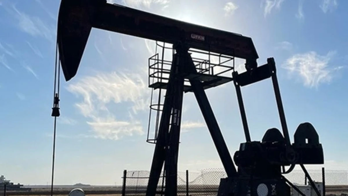 Batman, Siirt, Diyarbakır kararı Resmi Gazete'de! TPAO petrol arayacak