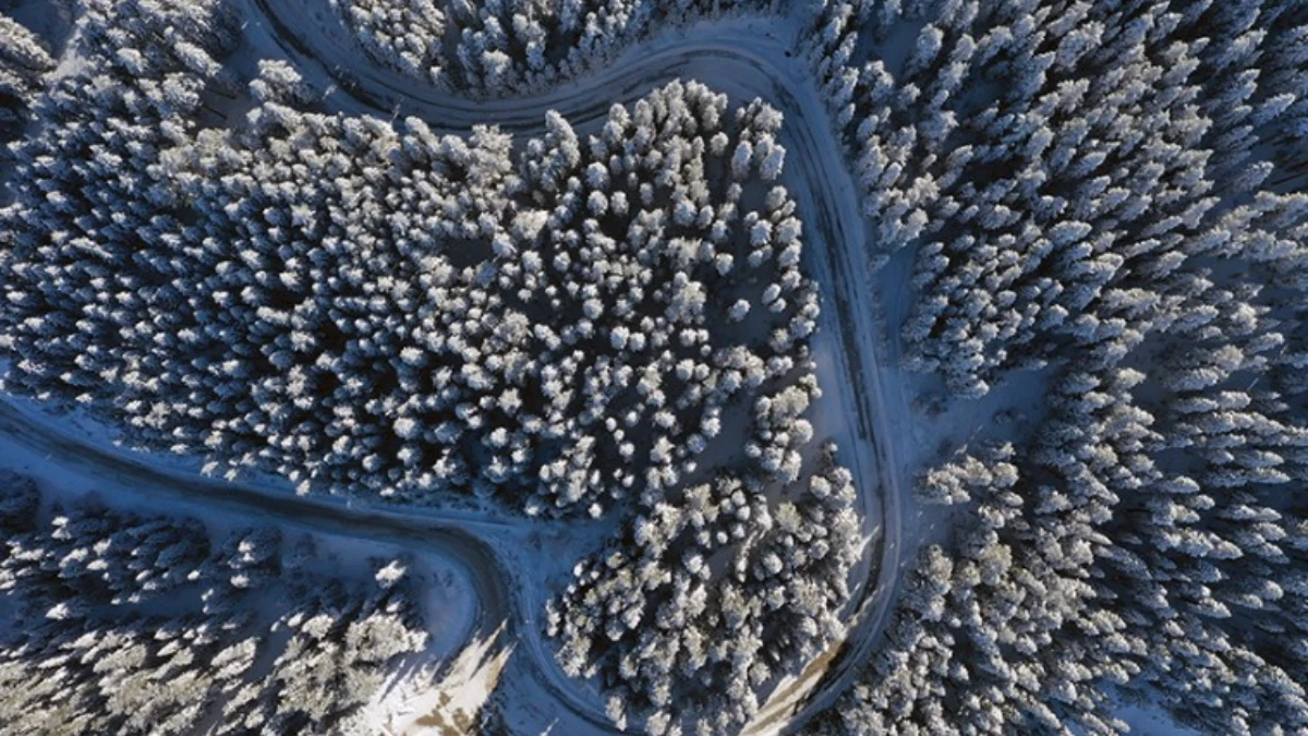 Bir yanda yaz bir yanda kış! Ilgaz'a kar yağdı