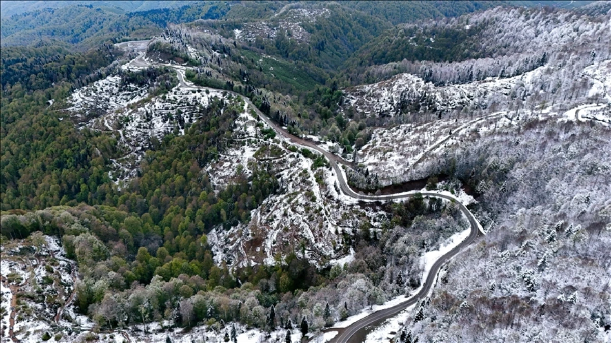 Çam Dağı'nda bahar güzelliği nefes kesti