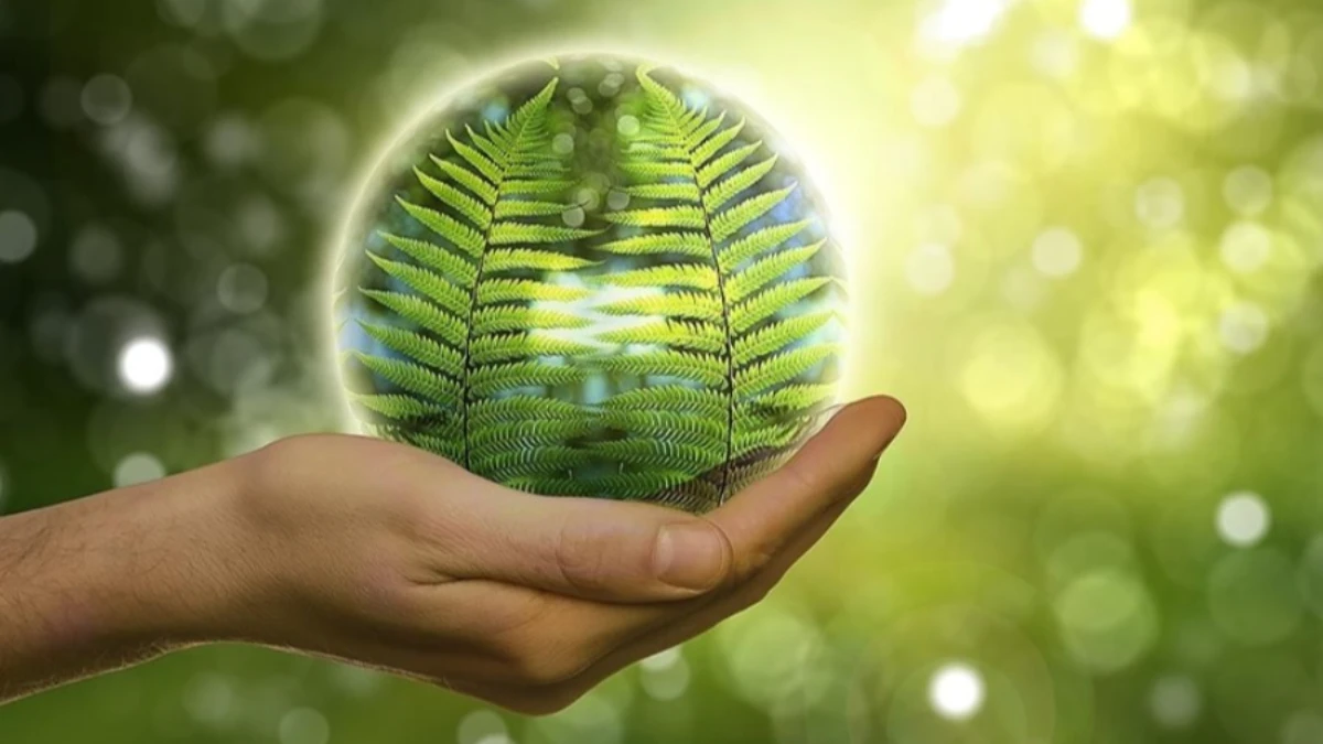 Enerjide yeni cephe! Türkiye Avrupa'ya 'Yeşil hidrojen' ihraç  edebilir