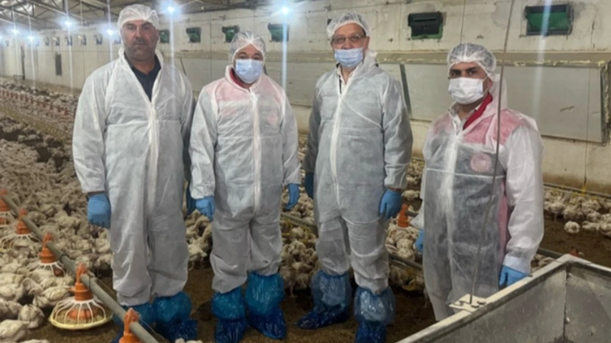 Erzincan'da işlenen tavuk eti ihraç edilerek ülke ekonomisine katkı sağlıyor