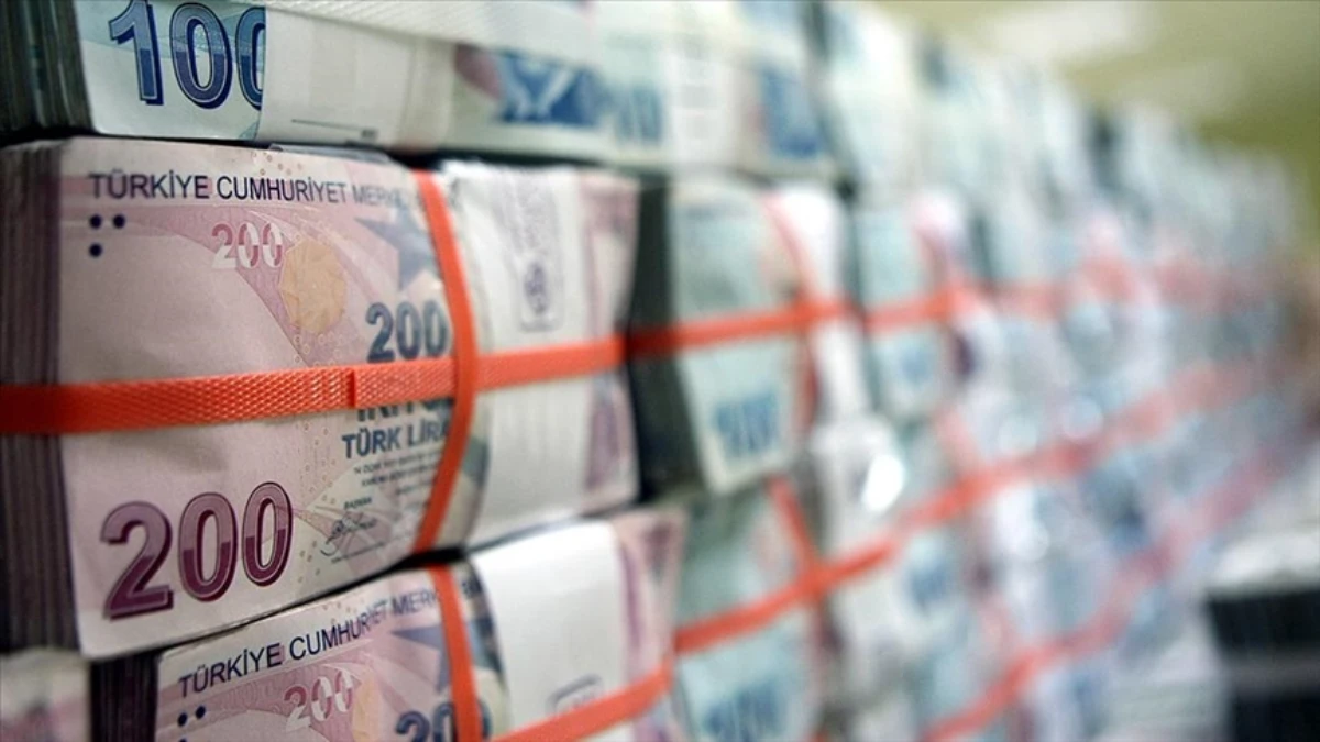 Hazine, yarın 4 yıl vadeli iki tahvil için ihaleye çıkıyor