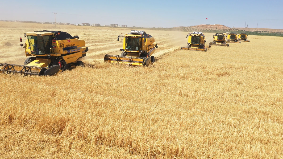Küresel stok merkezi rolüne buğdayla başlanmalı