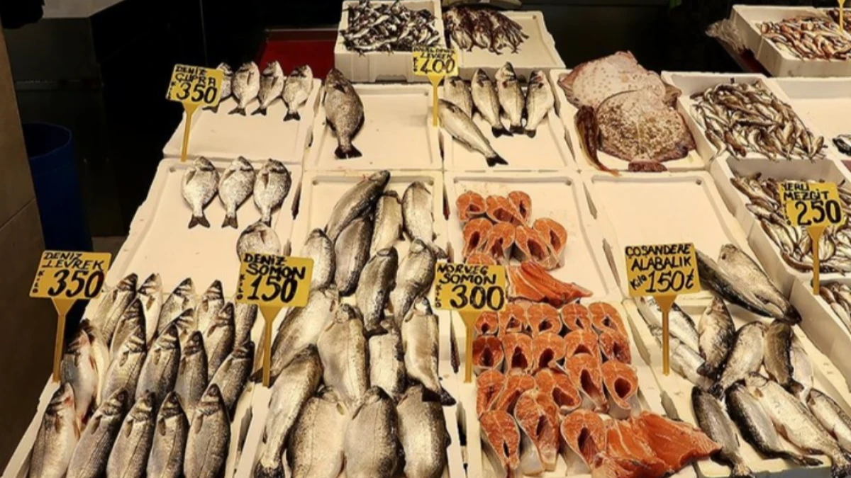 Mezgit ve istavrit 250 liradan satılıyor
