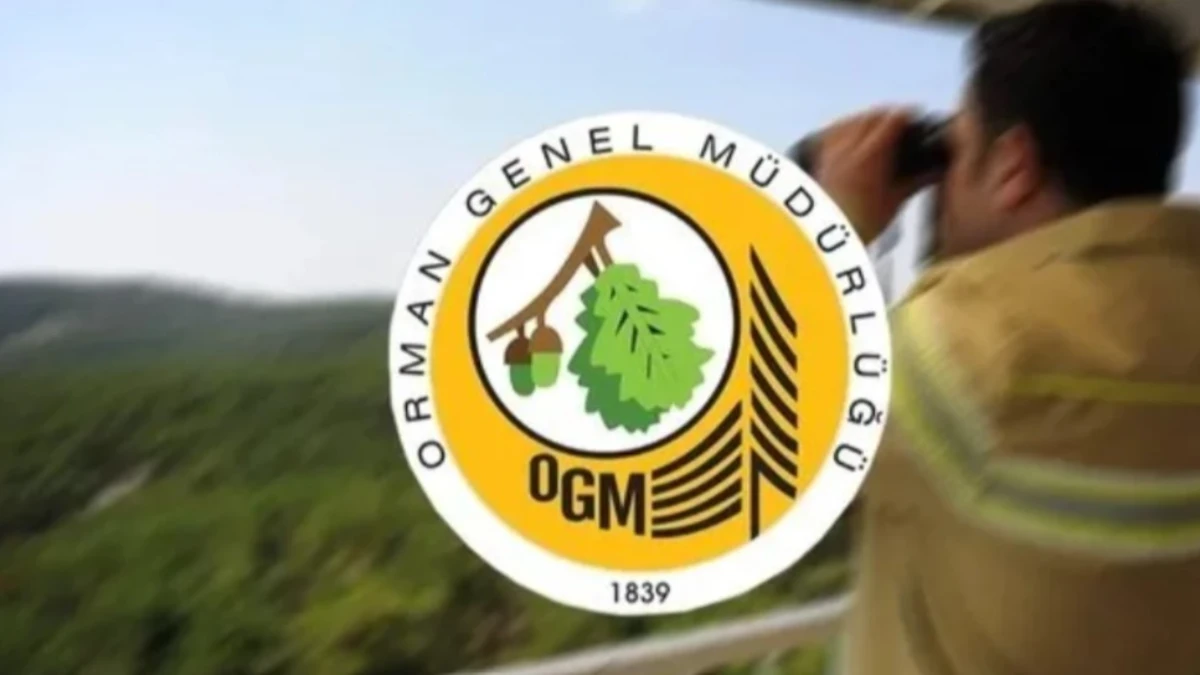 OGM 3477 PERSONEL ALIMI MÜLAKAT TARİHİ| OGM başvuru sonucu görüntüleme