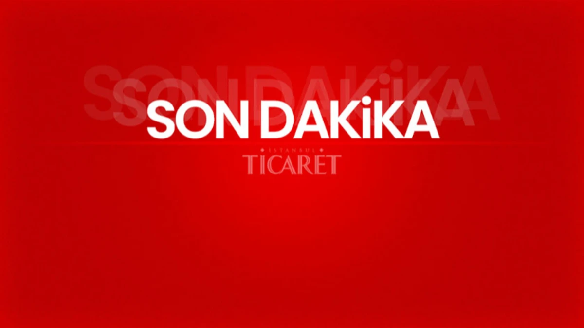 SON DAKİKA: Depremde hasar alan okul oldu mu? İstanbul Valisi Gül'den açıklama SON DAKİKA: Depremde hasar alan okul oldu mu? İstanbul Valisi Gül'den açıklama