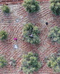 9 ilde ekonomik dönüşüm: Teşviklerle sanayi ve tarım güçlenecek