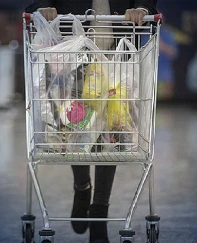 Tek tıkla market fiyatlarını karşılaştırma dönemi