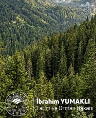 Dünya Ormancılık Günü’nde çağrı: Yeşil vatan korunacak