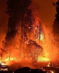 El Nino orman yangını riskini artırıyor