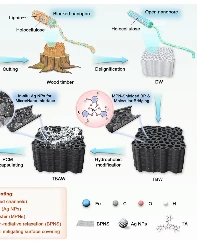 Güneş enerjisi depolamada ‘ahşap’ çözümü: Yüzde 91 verimlilik