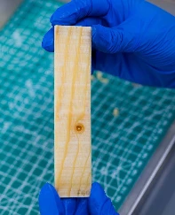 İnşaat sektöründe yeni dönem: Isı depolayan ahşap malzeme geliştirildi