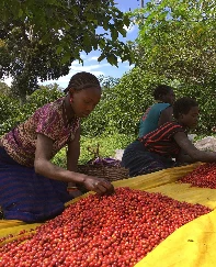 Kahve köpüğünü attı