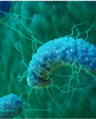 Kumaş boyamaya çevre dostu alternatif