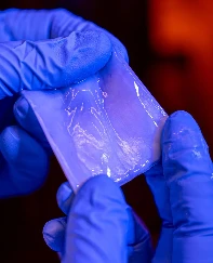 Plastiğin yerini alacak süper güçlü bakteri selülozu geliştirildi