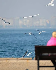 Sıcaklıklar yükseliyor: Türkiye genelinde 8 dereceye varan artış