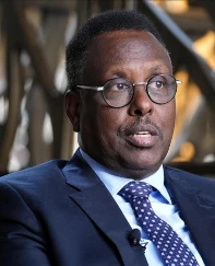 Somalili bakandan Türkiye'ye övgü