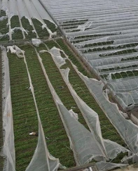 TARSİM selden etkilenen üreticilere destek ödemesi yapacak
