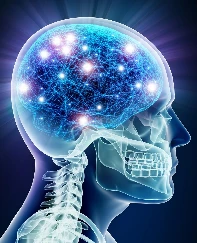 Yaşlanan beyni yenileyen 'Moleküler anahtar' keşfedildi