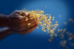 FAO’dan küresel gıda krizi uyarısı: Hürmüz Boğazı’ndaki aksama gıda enflasyonunu hızlandırabilir