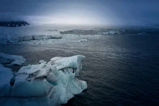 Kuzey Kutbu 125 yılın en sıcak yılını geçirdi