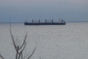 Türk sahipli deniz ticaret filosu dünyada ilk 10'a yürüyor