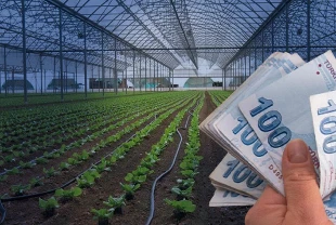 10,2 milyar lira hibe desteği verilecek: Bakan Yumaklı detaylarını açıkladı
