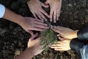 11 Kasım Milli Ağaçlandırma Günü’nde çifte rekor: 14,9 milyon fidan toprakla buluştu