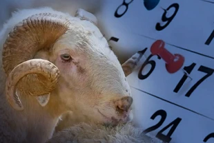 2025 Kurban Bayramı hangi tarihe denk geliyor? Tatil günleri hangileri?