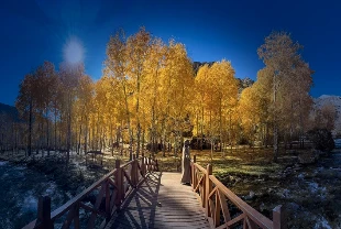 2025 tarihin en sıcak ikinci yılı olabilir