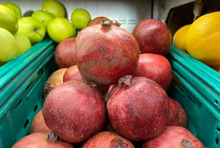 62 ülkeye 162,5 milyon dolarlık nar gönderildi